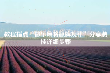 教程指点“微乐麻将赢牌规律”分享装挂详细步骤