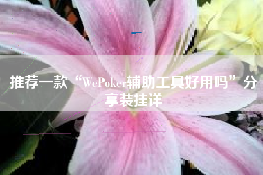 推荐一款“WePoker辅助工具好用吗	”分享装挂详
