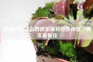 揭秘科普“山西微乐麻将开挂神器”确实是有挂