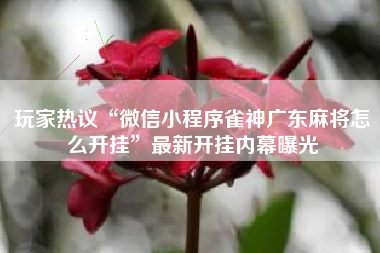 玩家热议“微信小程序雀神广东麻将怎么开挂	”最新开挂内幕曝光