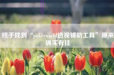 终于找到“pokerworld透视辅助工具	”原来确实有挂