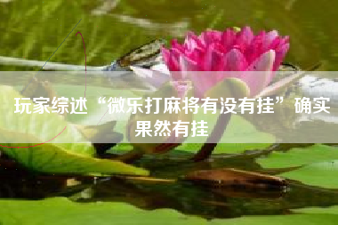 玩家综述“微乐打麻将有没有挂”确实果然有挂