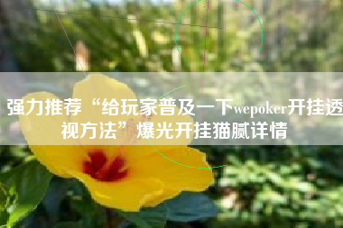 强力推荐“给玩家普及一下wepoker开挂透视方法	”爆光开挂猫腻详情