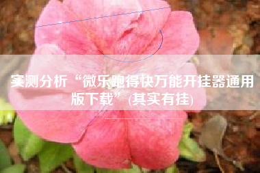 实测分析“微乐跑得快万能开挂器通用版下载	”(其实有挂)