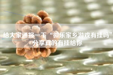 给大家通报一下“微乐家乡游戏有挂吗	”分享真的有挂给你