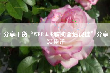 分享干货“WEPokeR辅助器透视挂	”分享装挂详