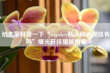给大家科普一下“wepoker私人局透视挂有吗	”爆光开挂猫腻内幕