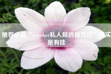推荐必备“wepoker私人局透视方法	”其实是有挂