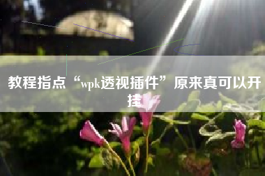 教程指点“wpk透视插件”原来真可以开挂