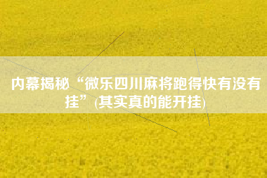 内幕揭秘“微乐四川麻将跑得快有没有挂”(其实真的能开挂)