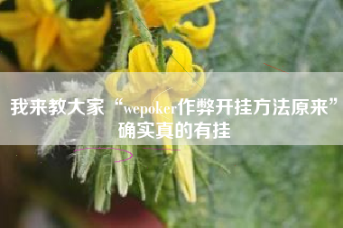 我来教大家“wepoker作弊开挂方法原来”确实真的有挂