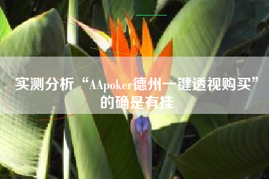 实测分析“AApoker德州一键透视购买”的确是有挂