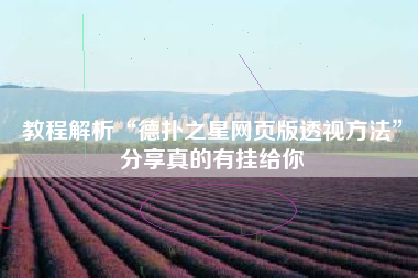 教程解析“德扑之星网页版透视方法	”分享真的有挂给你