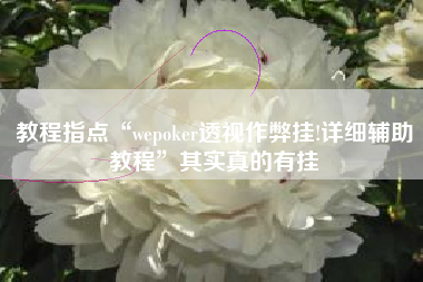 教程指点“wepoker透视作弊挂!详细辅助教程”其实真的有挂