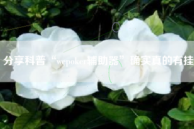 分享科普“wepoker辅助器	”确实真的有挂