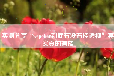 实测分享“wepoker到底有没有挂透视”其实真的有挂