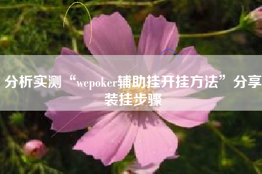 分析实测“wepoker辅助挂开挂方法”分享装挂步骤