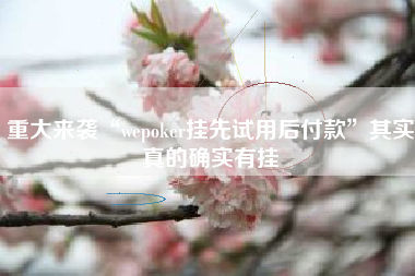 重大来袭“wepoker挂先试用后付款”其实真的确实有挂