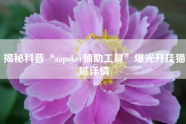 揭秘科普“aapoker辅助工具”爆光开挂猫腻详情