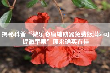 揭秘科普“微乐必赢辅助器免费版满50可提微苹果”原来确实有挂