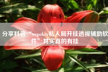 分享科普“wepoker私人局开挂透视辅助软件	”其实真的有挂