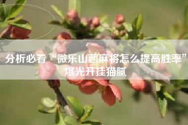 分析必看“微乐山西麻将怎么提高胜率”爆光开挂猫腻