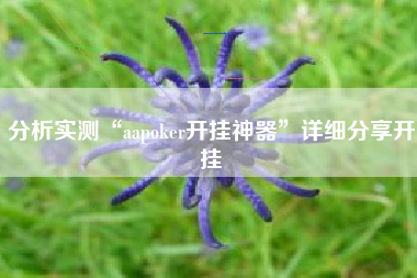 分析实测“aapoker开挂神器	”详细分享开挂