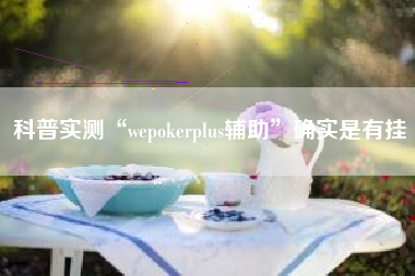 科普实测“wepokerplus辅助”确实是有挂