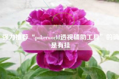 强力推荐“pokerworld透视辅助工具”的确是有挂