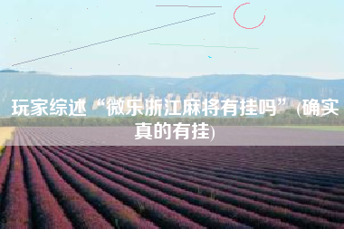 玩家综述“微乐浙江麻将有挂吗”(确实真的有挂)