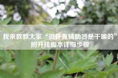 我来教教大家“微扑克辅助器是干嘛的”附开挂脚本详细步骤