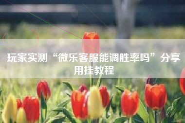 玩家实测“微乐客服能调胜率吗”分享用挂教程