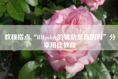 教程指点“HHpoker的辅助是真的吗”分享用挂教程
