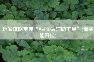 玩家攻略宝典“WePOKer辅助工具”(确实能开挂)