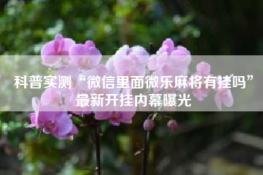 科普实测“微信里面微乐麻将有挂吗”最新开挂内幕曝光