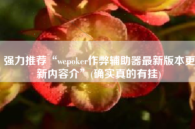 强力推荐“wepoker作弊辅助器最新版本更新内容介	”(确实真的有挂)