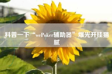 科普一下“wePoker辅助器”爆光开挂猫腻