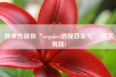 我来告诉你“wepoker透视百家号”(其实有挂)