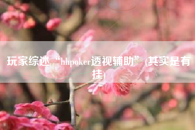 玩家综述“hhpoker透视辅助”(其实是有挂)