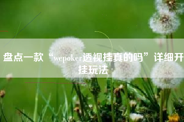 盘点一款“wepoker透视挂真的吗	”详细开挂玩法