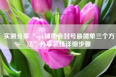 实测分享“wpk辅助会封号最简单三个方法	”分享装挂详细步骤