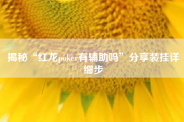 揭秘“红龙poker有辅助吗	”分享装挂详细步