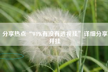 分享热点“WPK有没有透视挂	”详细分享开挂
