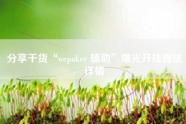 分享干货“wepoker 辅助”爆光开挂猫腻详情