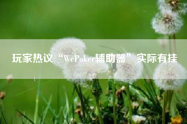 玩家热议“WePoker辅助器	”实际有挂