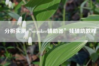 分析实测“wepoker辅助器”挂辅助教程