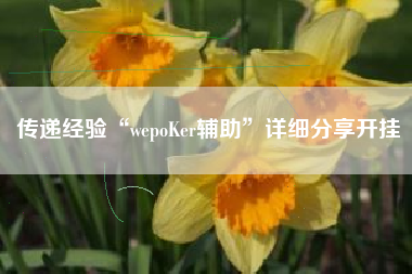 传递经验“wepoKer辅助”详细分享开挂