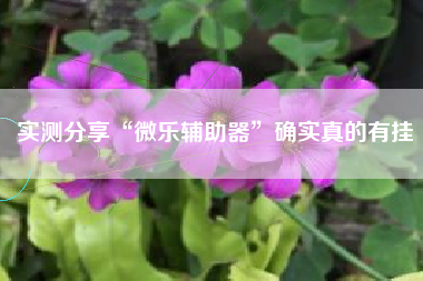 实测分享“微乐辅助器”确实真的有挂