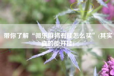 带你了解“微乐麻将有挂怎么买”(其实真的能开挂)