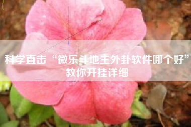 科学直击“微乐斗地主外卦软件哪个好	”教你开挂详细